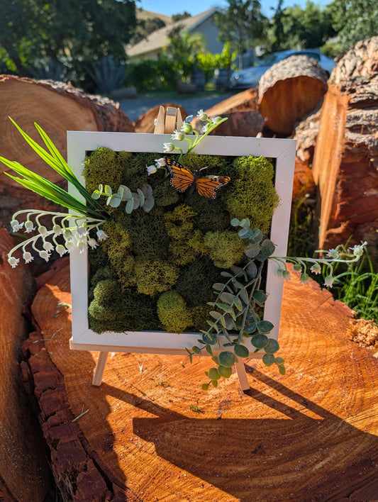 Moss board