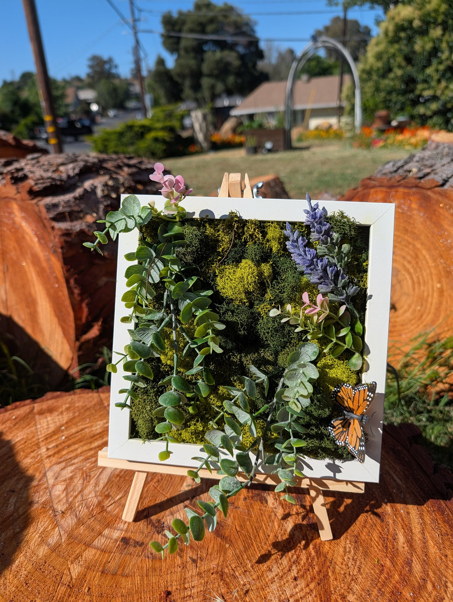 Moss Board