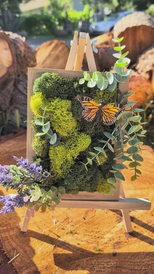Moss Board