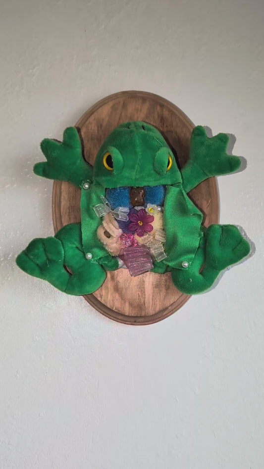 Frog Dissection Mount