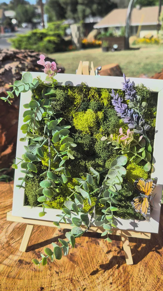 Moss Board