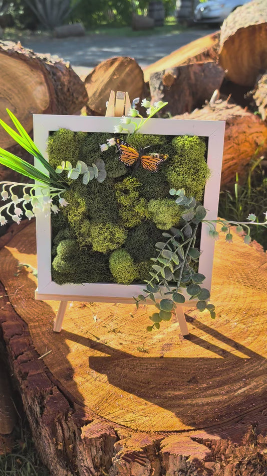 Moss board