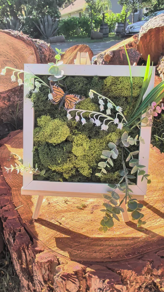 Moss Board