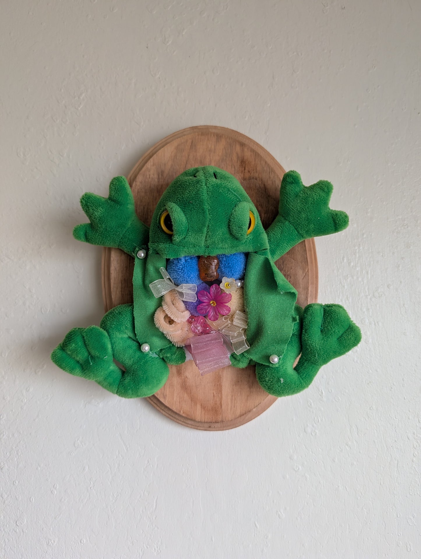 Frog Dissection Mount