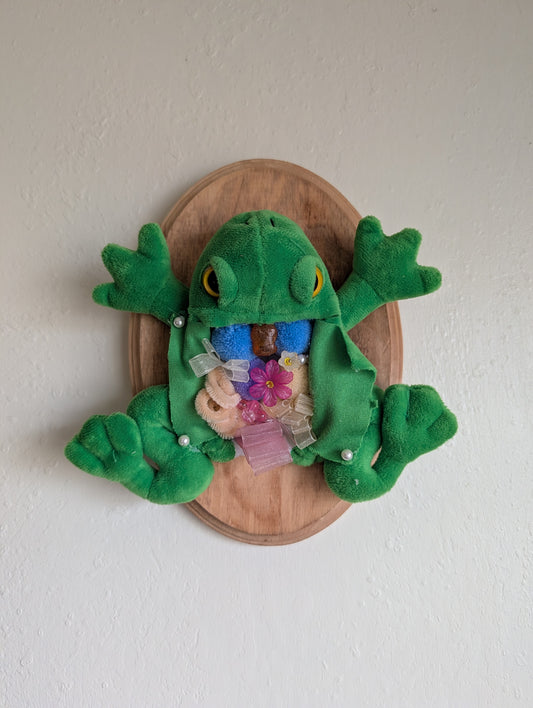 Frog Dissection Mount