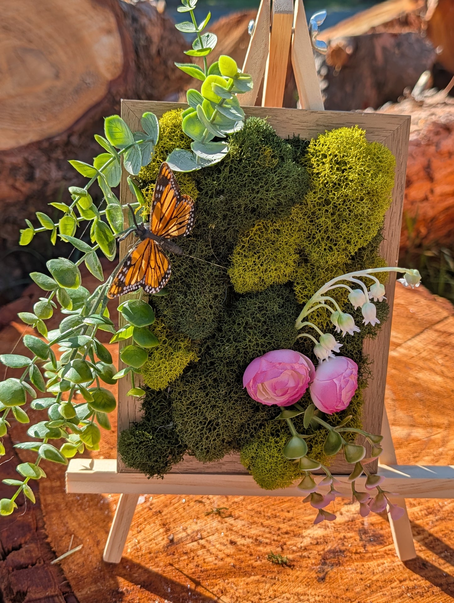 Moss Board