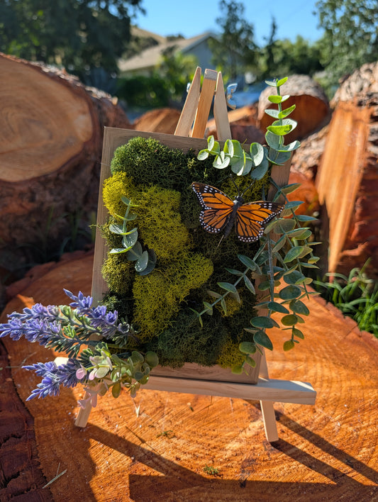 Moss Board