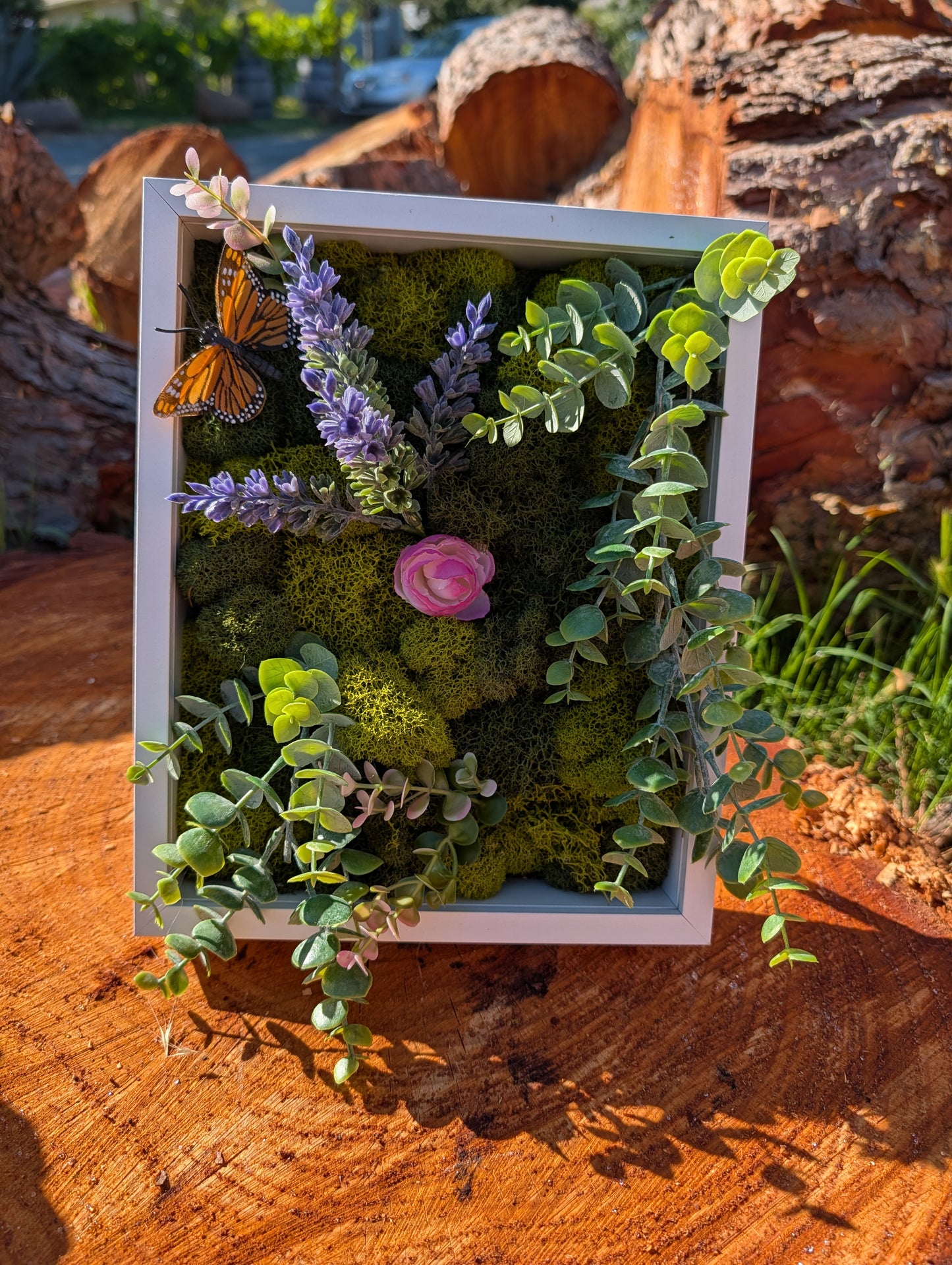 Large Moss Board