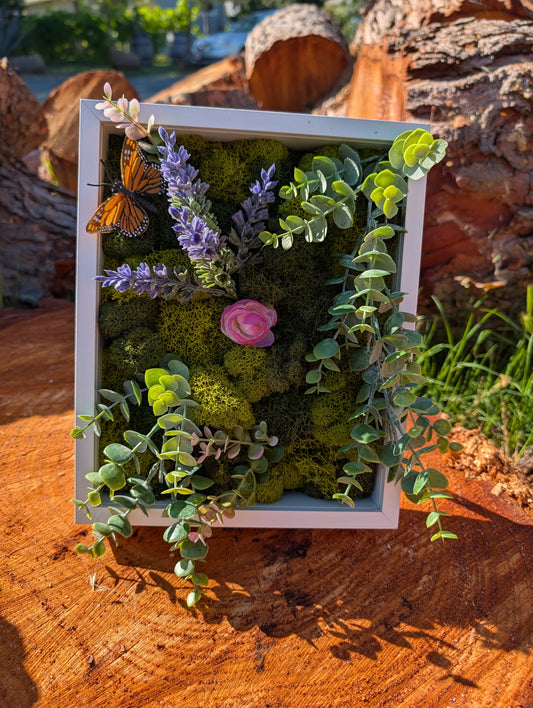 Large Moss Board