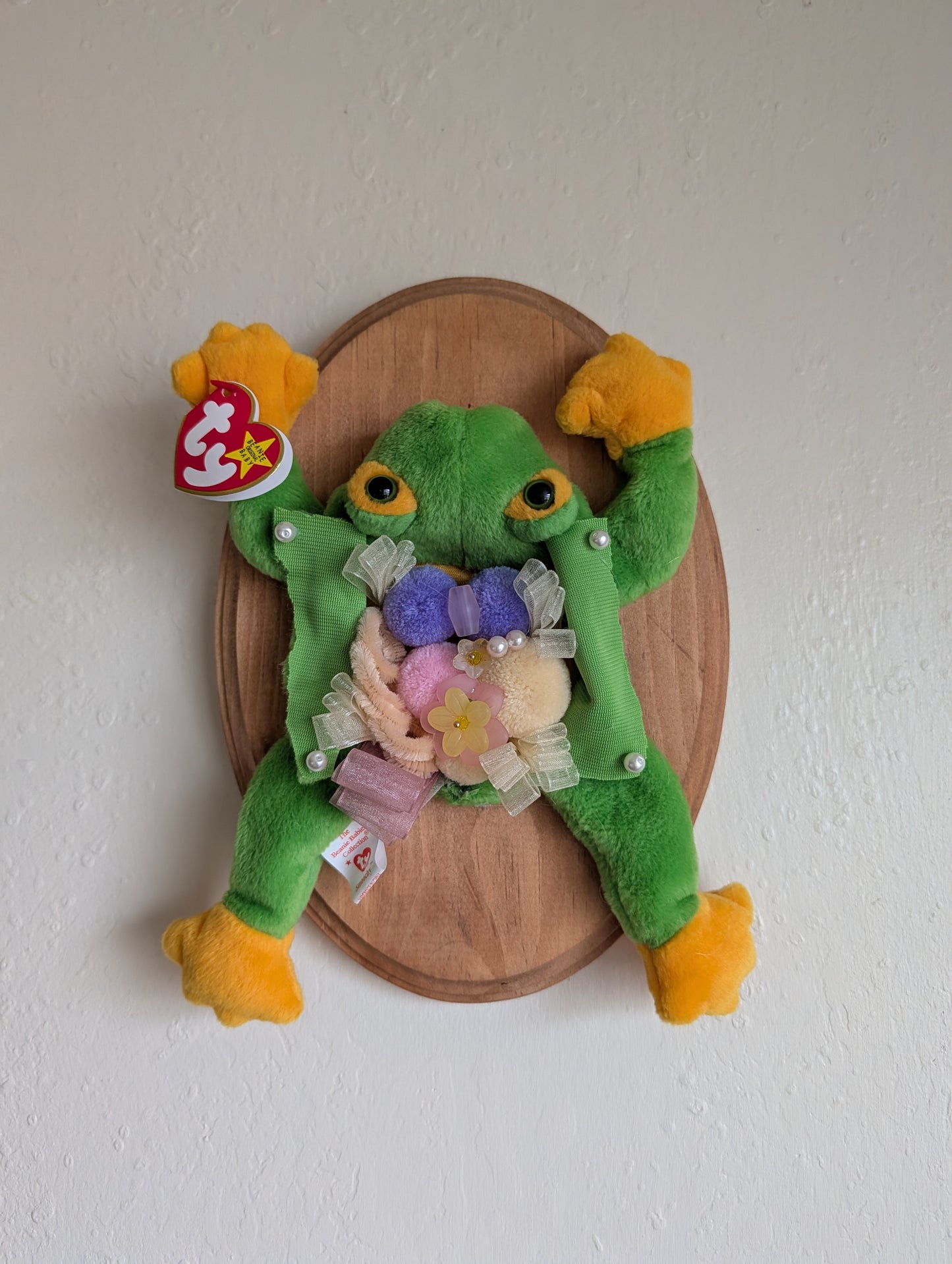 Beanie Baby Frog Dissection Mount
